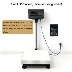 150kg Platform Scale Heavy Duty Bench Scale Checkweighing Scale 0.01kg Accuracy Industrial Weighing OEM Weighing Machine