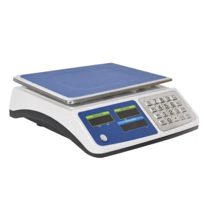 30kg Digital Weighing Scale Price Philippines