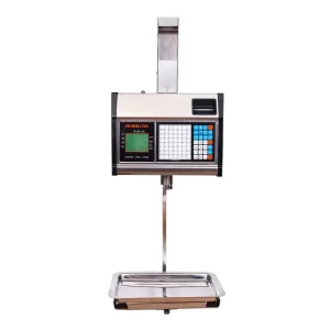 30kg Seafood Stainless Steel Hanging Scale with Printer Weighing Scales Digital Balanzas