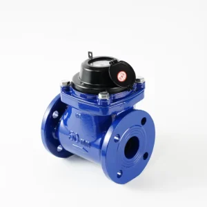 4 Inch Flow Meter for Water 8 Inch Water Flow Meter