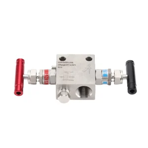 6000psi Stainless Steel Gauge Manifold Straight Two Valve Manifolds for Transmitters