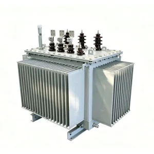 630kVA 10kV Oil Immersed Transformer S20 Three Phase Step Down Power Transformer 10000V to 400V Outdoor Distribution
