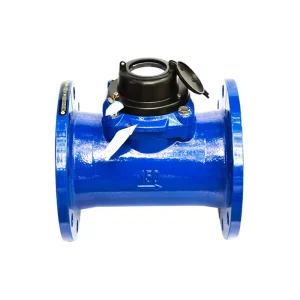 8 Inch Cast Iron IP68 OEM Great Volume Water Meter for Agricultural Irrigation