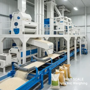 Automatic on Line Weighing Monitor with Data Statistics Function and Export Approval for Conveyor Belt Weighing