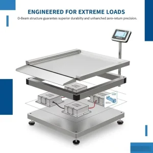 Beijing Langke Stainless Steel Electronic Platform Scale Low Platform Industrial Floor Scale Ramp OEM Customizable