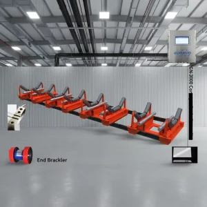 CE Certified Conveyor & Mechanical Belt Scale High Precision Weighing System Remote Monitoring Stainless Steel 1 Year Warranty