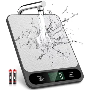 CX-218 5kg 10kg/1g Stainless Steel Electronic Weighing Scale Type Digital Food Diet Kitchen Scale