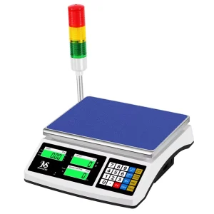Chargeable Scale Printer Indicator Max 30kg 1g Balanza Smart Scales Measuring for Weighing Scales