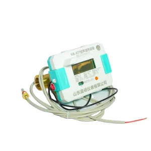 Chenshuo CSHM 20 Variable Area Water Flow Meter for Brass Material M BUS RS 485 Pulse Output LoRaWAN Interface OEM LCD Display