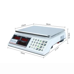 China Manufacturer Digital Weigh Balance ACS Series 30kg Electronic Computing Price Weighing Scales
