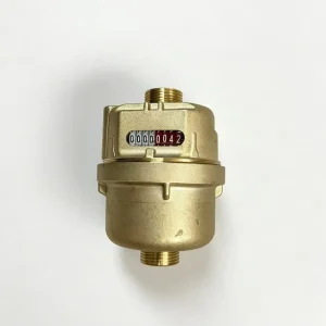 Corrosion Resistant Volumetric Piston Water Meter Dry Type DN15 DN20 Purified Water Measuring Flow Meter for Home Use