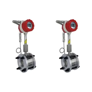 Customizable Dingyi Vortex Flow Meter for Gas LPG Natural Gas RS485 Temperature Compensation OEM Support 1.5% Accuracy