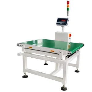 Customized Size Automatic Checkweigh Weigh Scale Conveyor Belt Weighing Scale