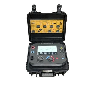 D1110 High Voltage Digital 10Kv Insulation Tester