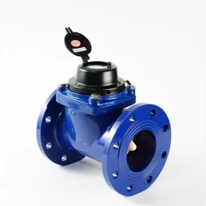 DN100 LXL Woltman Water Meter Flange Cold Water Meter for Municipal Water Project Farm Irrigation