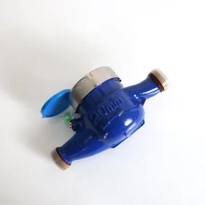 DN20 Stainless Steel Wet Dial Water Meter for School and Campus Water Supply