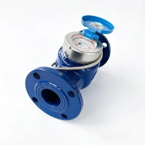 DN50 M bus RS485 Modbus Transmission Remote Reading Flange Smart Cold Water Meter