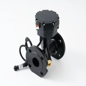 DN50 Smart NB ioT Ultrasonic Water Meter Single Channel Cast Iron R250 IP68 Municipal Industrial Bulk Flow Meters