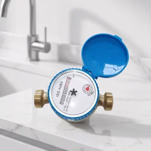 Daily Use Domestic Cold Single Jet Digital IP68 Brass DN15 Dry Dial OEM Water Meter