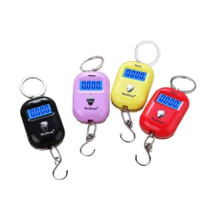 Digital 25kg 5g Hook Luggage Personal Balance Electronic Smart Kitchen Weighing Scale