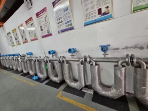 Digital Coriolis Mass Flowmeter for Water Air Gas Oil with Stainless Steel DN15 DN32 OEM High Accuracy