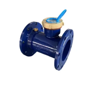 Durable DN125 Prepaid Mechanical Water Meter IP68 Rated Cast Iron OEM Available for Reliable Flow Measurement