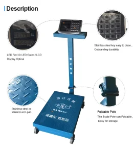Electronic Balance Food Rice Digital Weighing Scale Price LED Power Gross ROHS Double Desktop Weight Net Origin Type Certificate