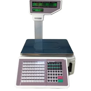 Electronic Barcode Label Printing Scale with Printer Fish Scale