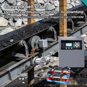 Electronic Belt Conveyor Scale to Weigh Bulk Flow Stream High Precision Oil Pressure Sensor Digital CE ODM OEM