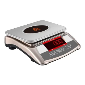 Electronic Industrial Scales Industrial Scale Digital 1g Accurate Industrial Balance Counting Weighing Scale