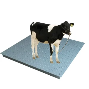 Electronic Weighbridge Weighing Pig and Cattle Belt Fence Thickening 1 Logistics Factory 5 Ton Weighbridge Livestock Power