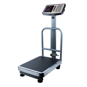 Foldable Commercial Electronic Price Computing Scale Benchtop Scale 300kg 100g