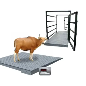 For LS-1 Floor Scale for Livestock High Precision Alloy Steel/Stainless Steel 1000kg-2000kg Capacity OEM ODM Available