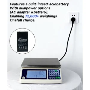 High Precision 0.1g Digital Counting Scale 6kg 10kg 30kg RS232 Industrial Weight Balance with LCD Display OEM ODM