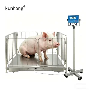High Precision Heavy Duty Digital Stainless Steel Industrial Hog Swine Livestock Pig Weighing Scale