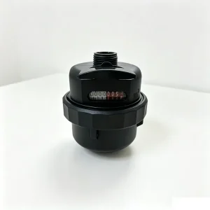 Horizontal Mount Volumetric Piston Water Meter Dry Type R80 Water Meter for Small Business Store Water Supply