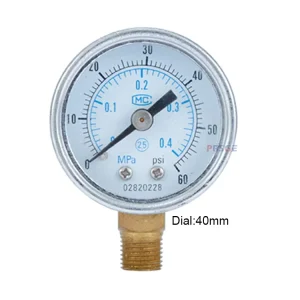 In Stock Stainless Steel Screw Type Water Pressure Gauge Piezometer