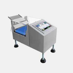 Industrial Small Platform Weighing Scale Digital Bench Scale Weight Checking Equipment for Production Line