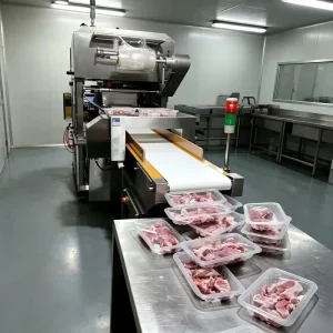 Intelligent High Sensitivity Food Metal Detector for Conveyor Line Easy Operation Affordable Durable for Factory Use