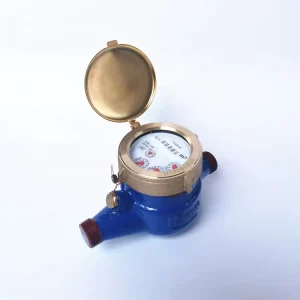 LXSG 15mm Multi-jet Wet Type Water Meter Brass Water Meter