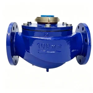 Large capacity Water Meter with Rotor type Water Meter Specially Designed for Engineering Use Featuring High Sensitivity