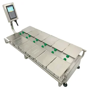 MHW M10 Manual Combination Belt Weigher Touch Screen Display for Pleurotus Eryngii Cucumber Carrots Warranty