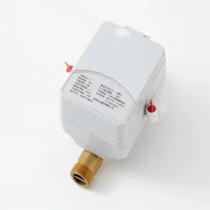 Maintenance Free DN15 Brass Body NBIoT Ultrasonic Water Meter R250 IP68 Electronic Digital Flow Meters for Residential Use