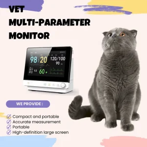 Mult parameters Patient Monitor IBP Etco2 Vital Signs Touch Screen Medical Patient Multi parameter Monitor Vital Signs Ambulance