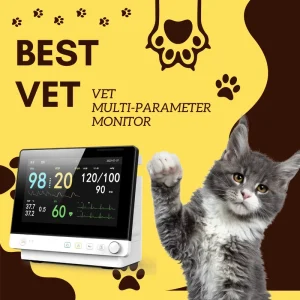 Mult parameters Patient Monitor IBP Etco2 Vital Signs Touch Screen Medical Patient Multi parameter Monitor Vital Signs Ambulance