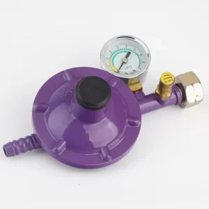 OEM Customisable Home Kitchen Gas Connector LP Gas Regulator With Gauge