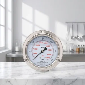 OEM Customized 50~300mm Dial DN15 20 30 40 50 Industrial Back Mounted Connection Stainless Steel 304 Pressure Gauge