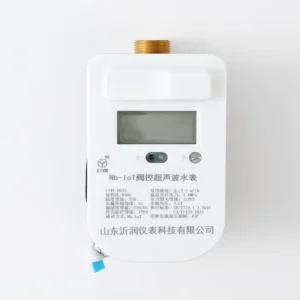 OEM Support DN15 NB IoT Smart Ultrasonic Water Meters Brass Body Valve Control IP68 R200 Residential Flow Meter