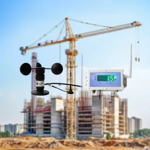 RK150-01 Wireless Crawler Crane Alarm System Wind Speed Sensor and Indicator Controller