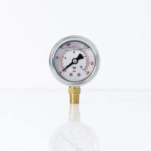 Radial Axial Stainless Steel Pressure Gauge Oil Filled Digital Air Liquid Water Pressure Gauge for Water Treatment Machinery
